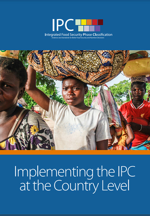 Implementing the IPC at the Country Level
